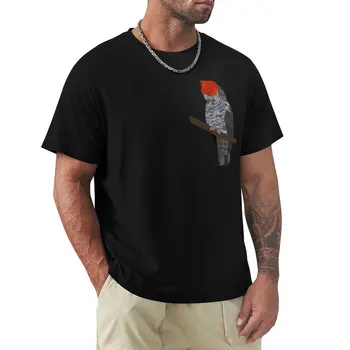 Gang gang cockatoo Футболка эстетическая одежда забавная футболка тройники кавайная одежда футболки для мужчин с графическим рисунком